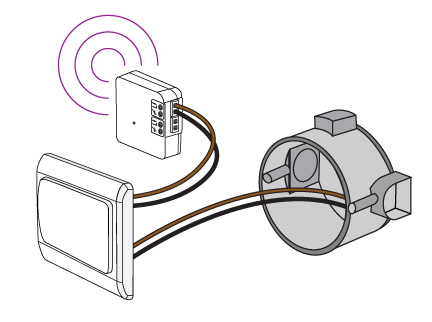 kaku_switch_architecture